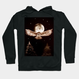 Owl with full moon Hoodie